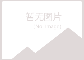 鹤岗兴山骤变冶炼有限公司